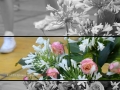 galati2014005